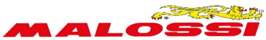 Molla di Contrasto per Variatore Paggio Zip 50 e sfera 50 2T Malossi Azzurra