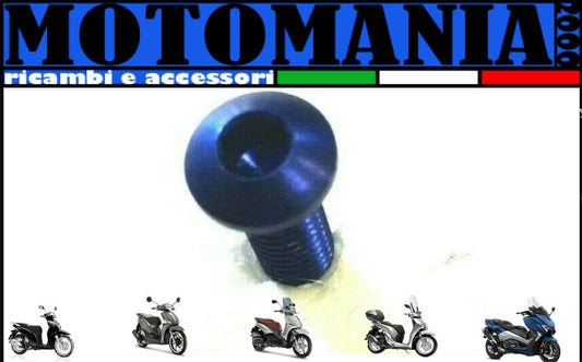 VITE TESTA BOMBATA CAVA ESAGONALE PER MOTO ERGAL BLU *