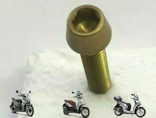 VITE TESTA SVASATA 6X25 IN ERGAL PER CARENA MOTO COLORE ORO *