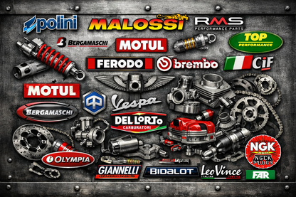 FSB946 Ganasce Freno Posteriore HONDA FES 150 PANTHEON dal 2000 al 2002 FERODO
