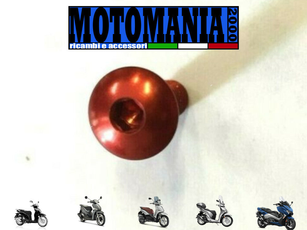 VITE TESTA BOMBATA 5X15 ROSSO PER CARENE  IN ERGAL  *