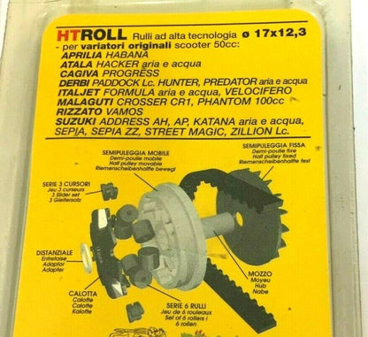 669999E0 KIT 6 RULLI VARIATORE 17X12,3 GR.06 MALOSSI VEDI APPLICAZ.