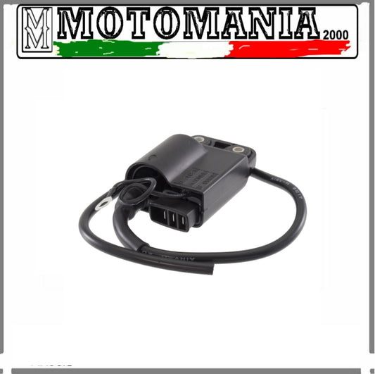 CONTROL UNIT FOR PIAGGIO ZIP/SFERA ET2/GILERA STALKER 50CC (SEE DESCR.)  *
