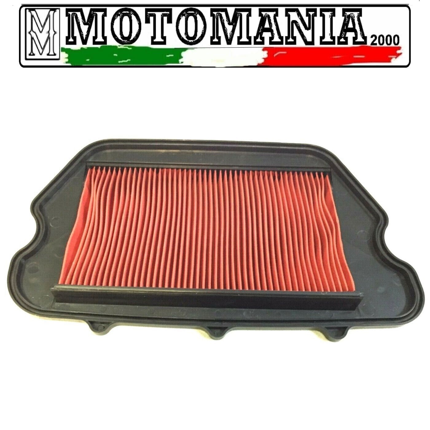 E1719100  FILTRO ARIA HFA1910 HONDA CBR XX SUPER BLACKBIRD 1997-1998  *