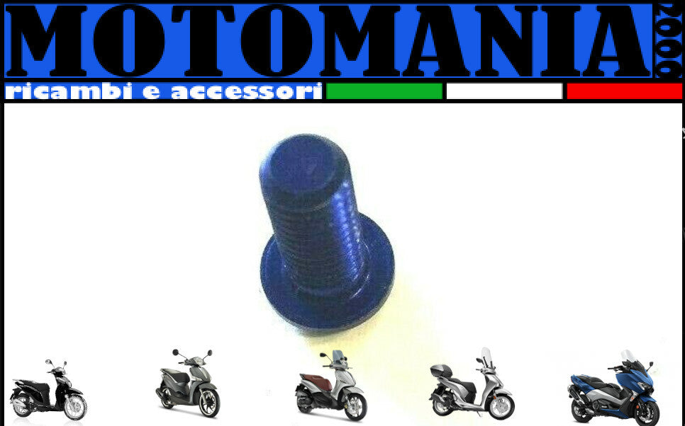 VITE TESTA BOMBATA CAVA ESAGONALE PER MOTO ERGAL BLU  *
