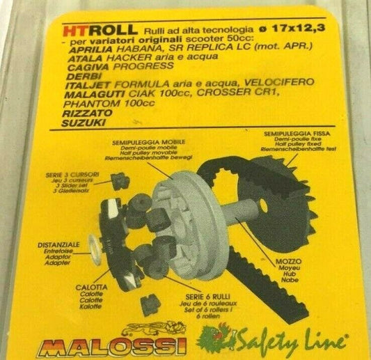669999G0 KIT 6 RULLI VARIATORE  17X12,3 GR.07 MALOSSI
