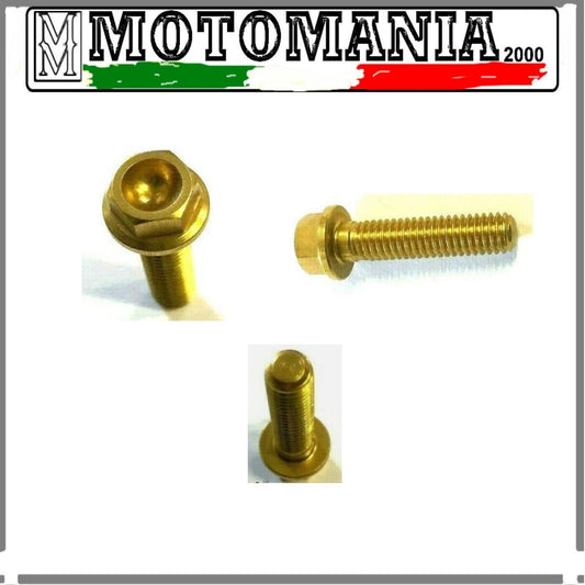 ERGAL GOLD SCREW 6X25 HEX HEAD DM. 8 APPLIC. MISCELLANEOUS*
