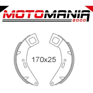 COPPIA GANASCE FRENO ANTERIORE RMS CLASSIC PIAGGIO COSA 1/2 414429
