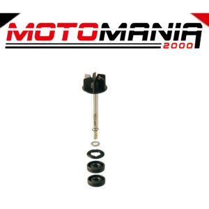 KIT REVISIONE POMPA ACQUA RMS APRILIA SCARABEO/LEONARDO 125-150CC