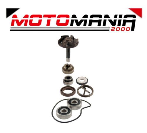 KIT REVISIONE POMPA ACQUA RMS PIAGGIO BEVERLY 250CC 2004/2005