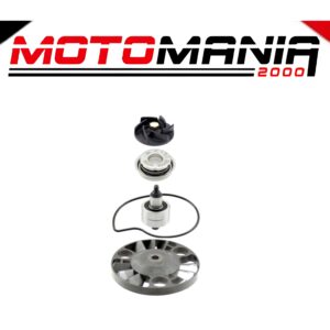 KIT REVISIONE POMPA ACQUA RMS PIAGGIO BEVERLY RST 125CC 2006/2007