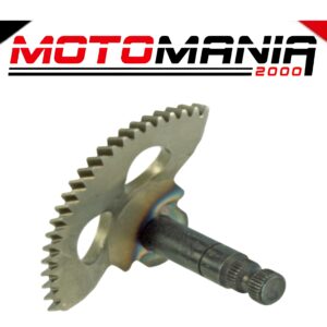 SETTORE MESSA IN MOTO RMS MALAGUTI F10/YESTERDAY 50CC