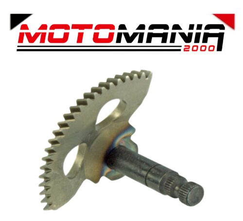 SETTORE MESSA IN MOTO RMS MALAGUTI F10/YESTERDAY 50CC