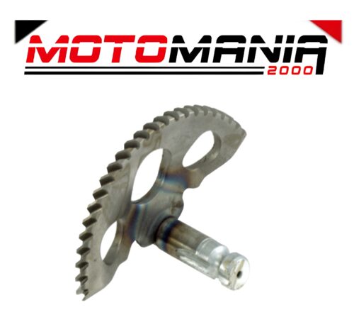 SETTORE MESSA IN MOTO RMS GILERA/PIAGGIO 50CC