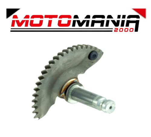 SETTORE MESSA IN MOTO RMS GILERA RUNNER FX/FXR/TYPHOON 125CC/PIAGGIO HEXAGON 125-150CC