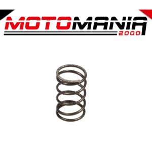 KIT MOLLE FRIZIONE FERODO FSS0519