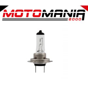 LAMPADINA RMS H7 12V 55W - BIANCA